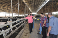 بالصور: جمعية يافا تستعد لتنفيذ مشروع الأضاحي للعام الثالث عشر على التوالي